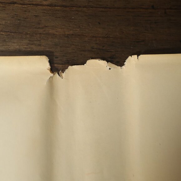 Bob Dylan An Intimate Biography - Picture 7 of 12